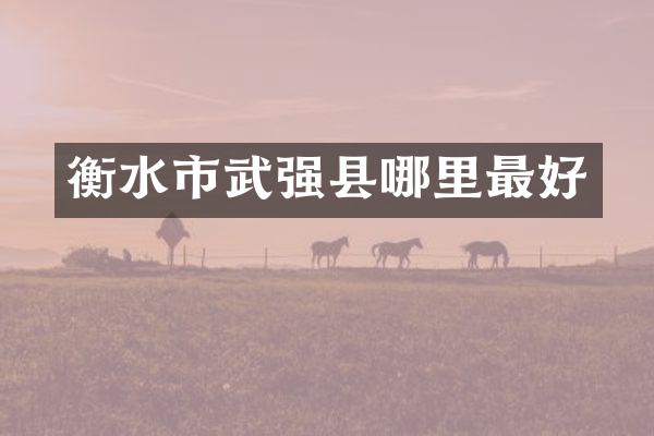衡水市武强县哪里最好