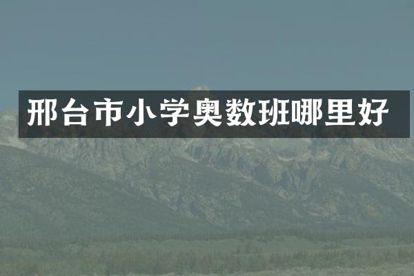 邢台市小学奥数班哪里好