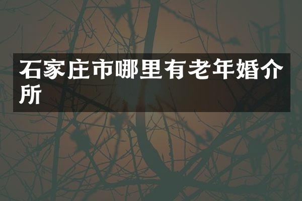 石家庄市哪里有老年婚介所