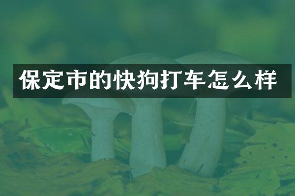 保定市的快狗打车怎么样