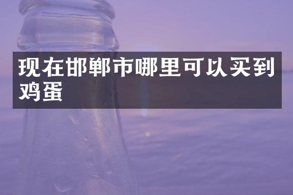 现在邯郸市哪里可以买到鸡蛋