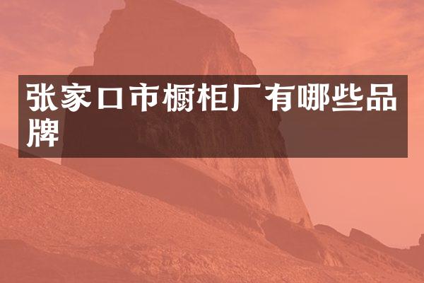 张家口市橱柜厂有哪些品牌