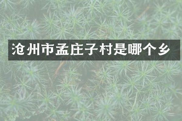 沧州市孟庄子村是哪个乡
