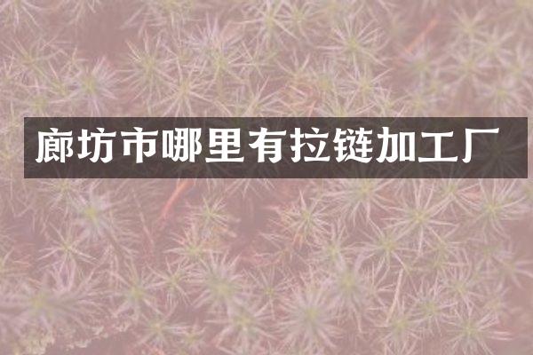 廊坊市哪里有拉链加工厂