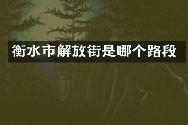 衡水市解放街是哪个路段