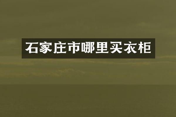 石家庄市哪里买衣柜