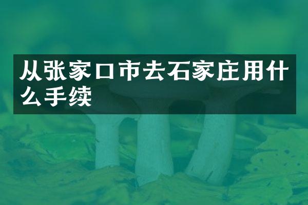 从张家口市去石家庄用什么手续