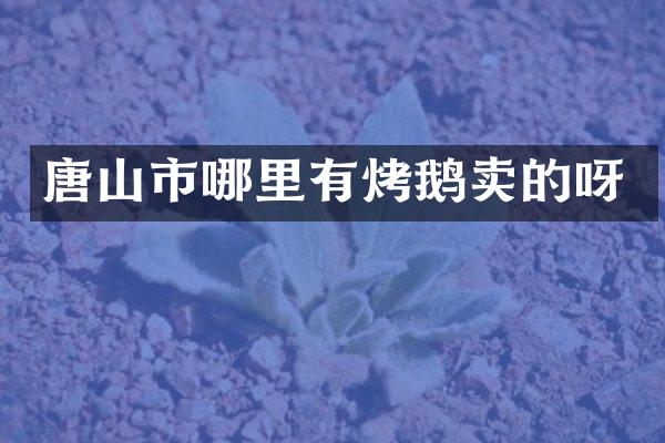 唐山市哪里有烤鹅卖的呀