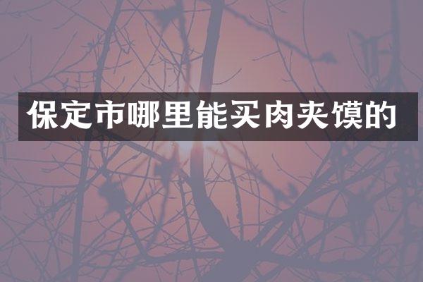 保定市哪里能买肉夹馍的