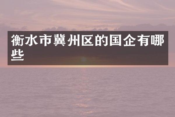 衡水市冀州区的国企有哪些