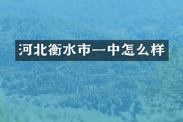 河北衡水市一中怎么样