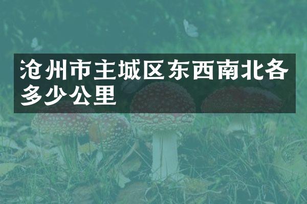 沧州市主城区东西南北各多少公里