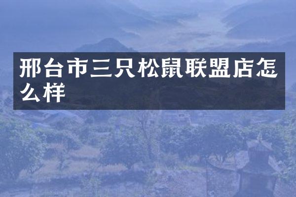 邢台市三只松鼠联盟店怎么样