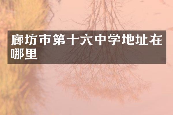 廊坊市第十六中学地址在哪里