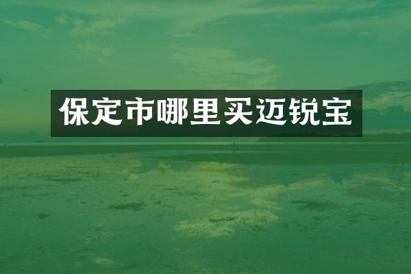 保定市哪里买迈锐宝