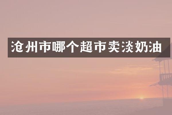 沧州市哪个超市卖淡奶油