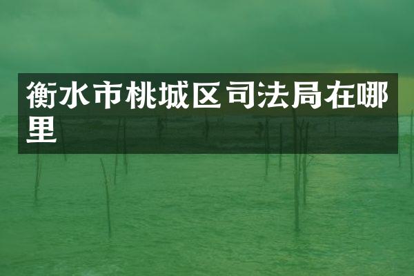 衡水市桃城区司法局在哪里
