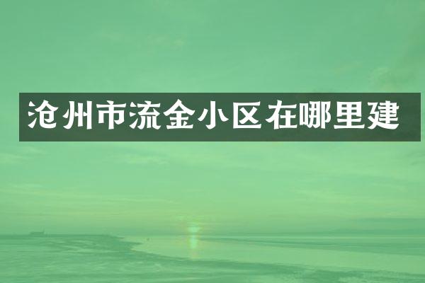 沧州市流金小区在哪里建