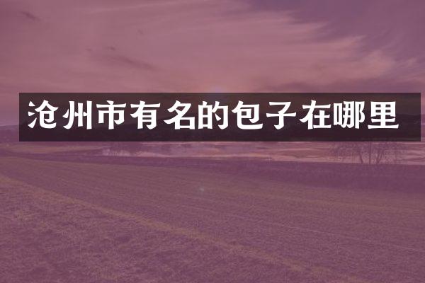 沧州市有名的包子在哪里