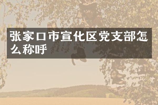 张家口市宣化区党支部怎么称呼