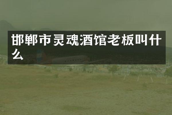 邯郸市灵魂酒馆老板叫什么