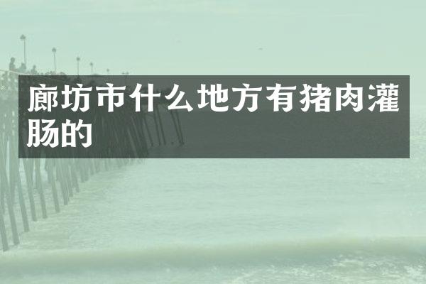 廊坊市什么地方有猪肉灌肠的