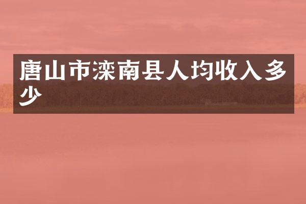 唐山市滦南县人均收入多少