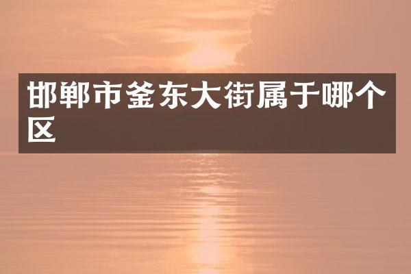 邯郸市釜东大街属于哪个区
