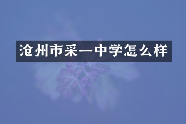 沧州市采一中学怎么样