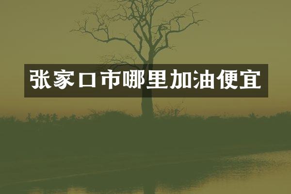 张家口市哪里加油便宜