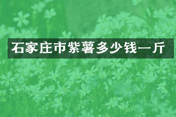 石家庄市紫薯多少钱一斤