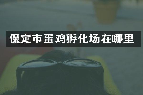 保定市蛋鸡孵化场在哪里