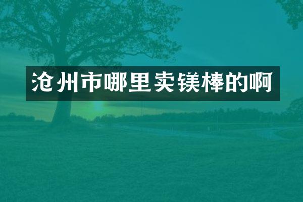 沧州市哪里卖镁棒的啊
