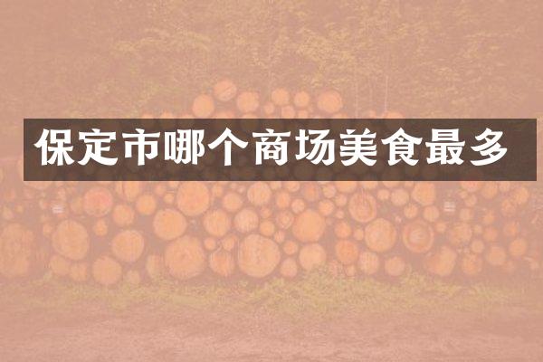 保定市哪个商场美食最多