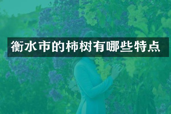 衡水市的柿树有哪些特点