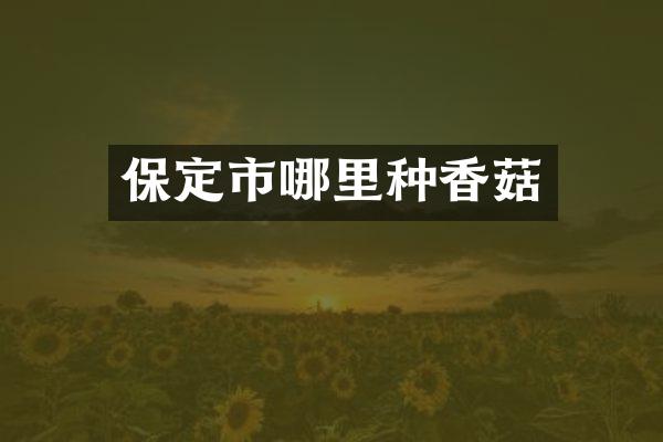 保定市哪里种香菇