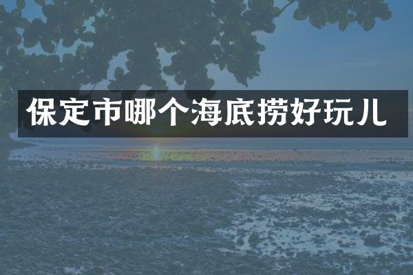 保定市哪个海底捞好玩儿