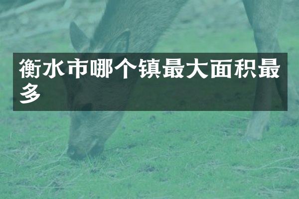 衡水市哪个镇最大面积最多