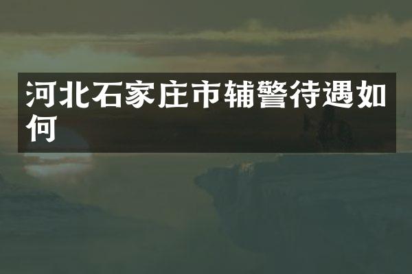 河北石家庄市辅警待遇如何