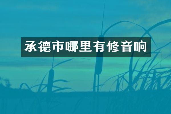 承德市哪里有修音响
