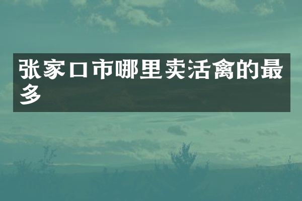 张家口市哪里卖活禽的最多