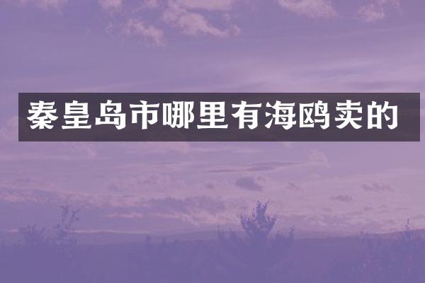 秦皇岛市哪里有海鸥卖的