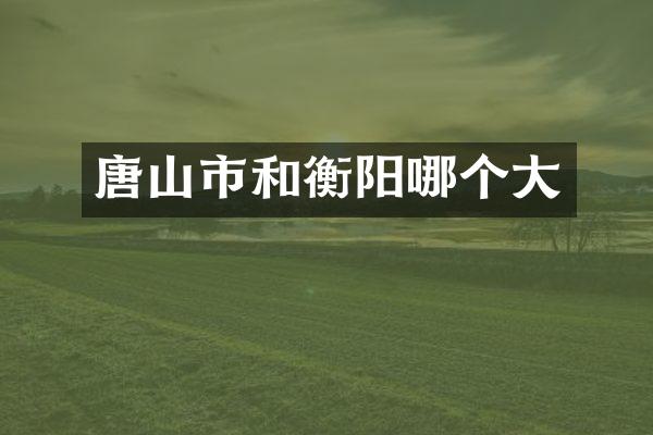唐山市和衡阳哪个大
