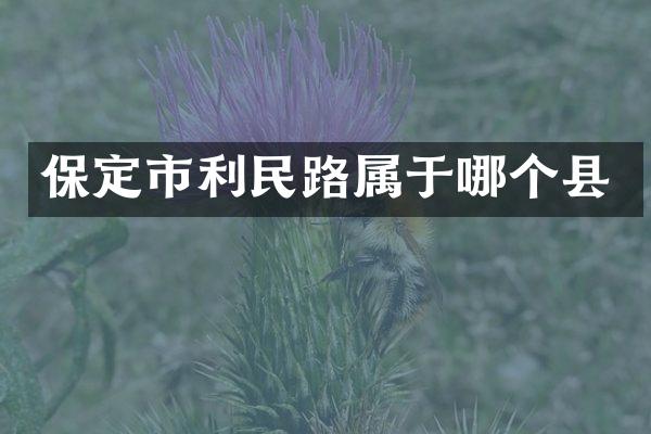 保定市利民路属于哪个县