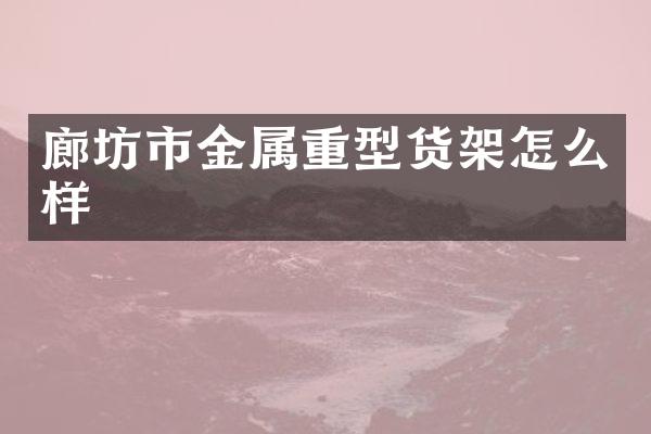 廊坊市金属重型货架怎么样
