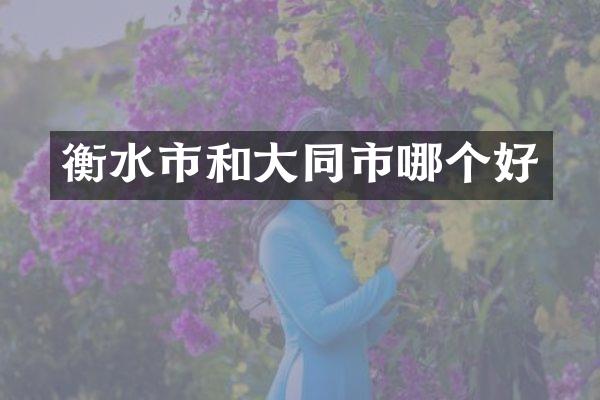 衡水市和大同市哪个好