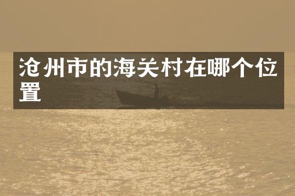 沧州市的海关村在哪个位置