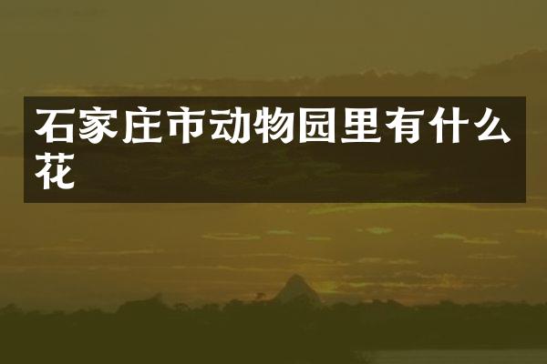 石家庄市动物园里有什么花