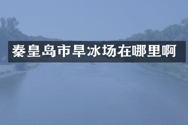 秦皇岛市旱冰场在哪里啊