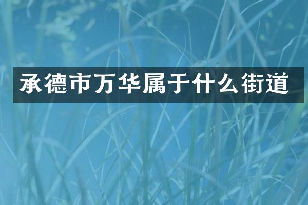 承德市万华属于什么街道